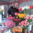 ���������� ���������, ���� ������� ���������, 45 ���, ������������ ��� ������, ����� � ���������, c�������� ���������