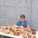  Plzen,   , 33 ,   ,   , c , 