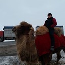 ���������� �������, ���� ������� �����, 34 ����, ������������ ��� ���������