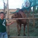 ���������� �������, ���� ������� Shaxzod, 31 ���, ������������ ��� ������, ����� � ���������, c�������� ���������