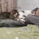  ,   , 44 ,     , c 
