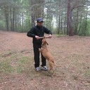 ���������� ������, ���� ������� �����, 43 ����, ������������ ��� ������, ����� � ���������, c�������� ���������