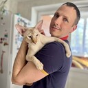 ���������� ������, ���� ������� �����, 43 ����, ������������ ��� ������, ����� � ���������, c�������� ���������, ���������