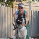 ���������� ������, ���� ������� ���������, 61 ���, ������������ ��� ������, ����� � ���������