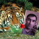  ,   Zaur, 41 ,   