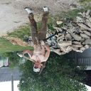 ���������� �����, ���� ������� �����, 38 ���, ������������ ��� ������, ����� � ���������, c�������� ���������