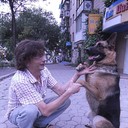  ,   , 52 ,   ,   , c 