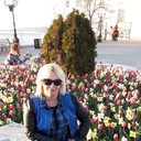 ,   Zika, 60 ,  