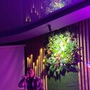 ���������� ��������, ���� ����� ZH, 20 ���, ������������ ��� ������, ����� � ���������, c�������� ���������, ���������