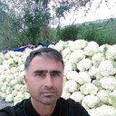 ���������� ���������, ���� ������� ��������, 42 ����, ������������ 