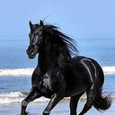 ���������� ������, ���� ������� ������, 33 ����, ������������ ��� ����� � ���������, c�������� ���������