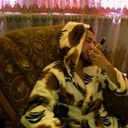  ,   Rafayell, 34 ,   ,   , c 