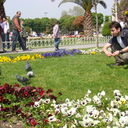  Ortakoy,   Cesur_yurek, 41 ,   