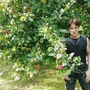 ���������� �����������, ���� ������� ������, 46 ���, ������������ ��� ������, ����� � ���������, c�������� ���������, ���������