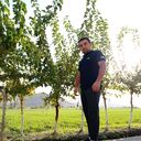  ,   , 31 ,   ,   
