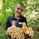 ���������� ������, ���� ������� ���������, 36 ���, ������������ ��� c�������� ���������, ���������