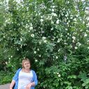  ,   , 34 ,     , c , 