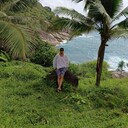 ���������� ������, ���� ������� ������, 31 ���, ������������ ��� ����� � ���������, c�������� ���������, ���������