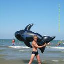 ���������� �����, ���� ������� Vova, 38 ���, ������������ ��� ������