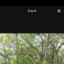 ���������� ��������, ���� ������� �����, 46 ���, ������������ ��� ������, ����� � ���������, c�������� ���������