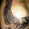 ,   Niko, 42 ,   ,   , c , 