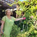 ���������� ������, ���� ������� �����, 61 ���, ������������ ��� c�������� ���������