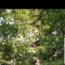 ���������� ��, ���� ������� ����, 27 ���, ������������ ��� ������, ����� � ���������, c�������� ���������