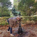 ���������� ������, ���� ������� �������, 48 ���, ������������ 