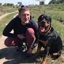 ���������� ��������, ���� ������� ������, 36 ���, ������������ ��� ������, ����� � ���������