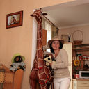  ,   , 36 ,   
