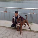   ,   , 42 ,   c 