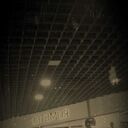 ���������� ������, ���� ������� ����, 36 ���, ������������ ��� ������, ����� � ���������