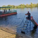 ���������� ���������, ���� ������� ��������, 37 ���, ������������ ��� ������, ����� � ���������, ���������