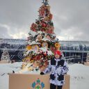 ���������� ����, ���� ����� ����, 22 ����, ������������ ��� ����� � ���������, c�������� ���������