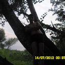  ,   , 41 ,   ,   , c 