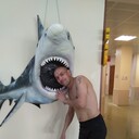 ���������� ���������� �����, ���� ������� ������, 48 ���, ������������ ��� ������, ����� � ���������