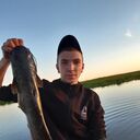 ���������� ���������, ���� ����� �������, 24 ����, ������������ ��� ����� � ���������, c�������� ���������, ���������