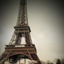 ���������� ���������, ���� ������� ���������, 38 ���, ������������ ��� ������