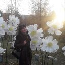  ,   , 65 ,   c 