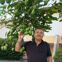  -,   , 65 ,   ,   