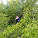 ���������� ����������, ���� ������� Santa Cruz, 38 ���, ������������ ��� ������, ���������