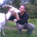 ���������� �����, ���� ������� ������, 51 ���, ������������ ��� ������