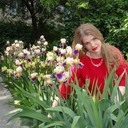 ���������� ���������, ���� ������� �����, 44 ����, ������������ ��� ������, ����� � ���������, c�������� ���������, ���������