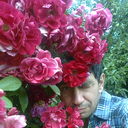  ,   , 52 ,  