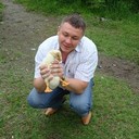  ,   , 53 ,   ,   , c 