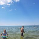 ���������� ����, ���� ������� ODIL, 29 ���, ������������ ��� ������, ����� � ���������, c�������� ���������