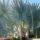 ���������� ��������������, ���� ������� ���������, 52 ����, ������������ ��� ������, ����� � ���������, c�������� ���������