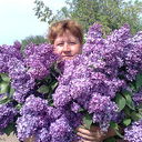 ���������� �������, ���� ������� �����, 65 ���, ������������ ��� ������, ����� � ���������, c�������� ���������