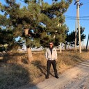 ���������� �����������, ���� ������� �������, 43 ����, ������������ ��� ������, ����� � ���������