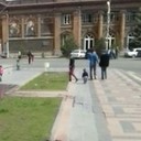 ���������� ���������, ���� ������� ���, 36 ���, ������������ ��� ������, ����� � ���������, c�������� ���������